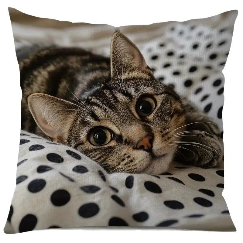 1pcs Cute Cartoon Cat Cushion Pillow Cover Simple Printed Throw Cushion Case Creative Home Sofa Decor Gift for Cat Lovers